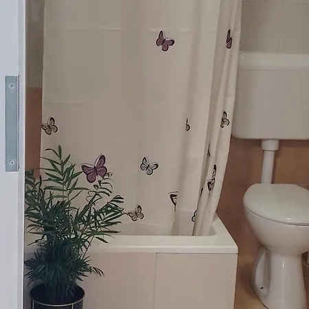 Buzolic 3 * 흐바르