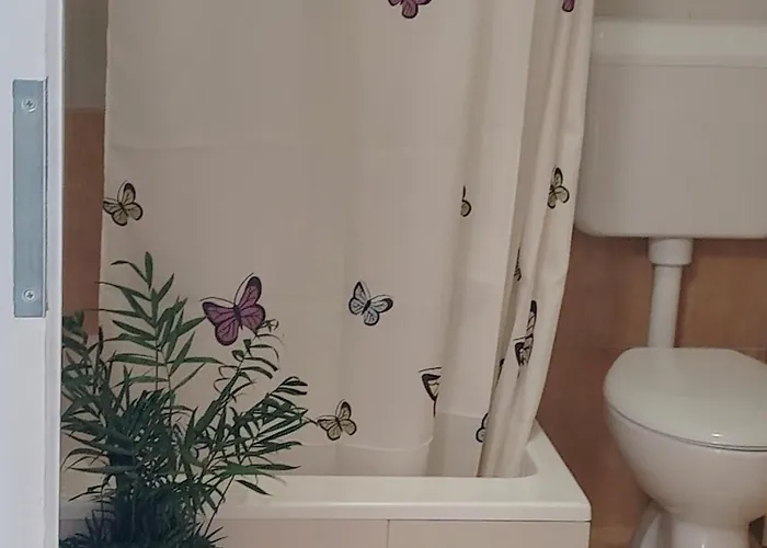 Buzolic 3 * Hvar Town